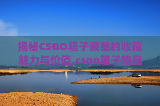 揭秘CSGO箱子藏品的收藏魅力与价值,csgo箱子物品一览