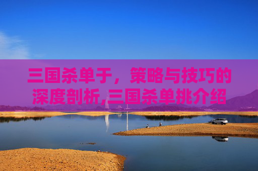三国杀单于，策略与技巧的深度剖析,三国杀单挑介绍