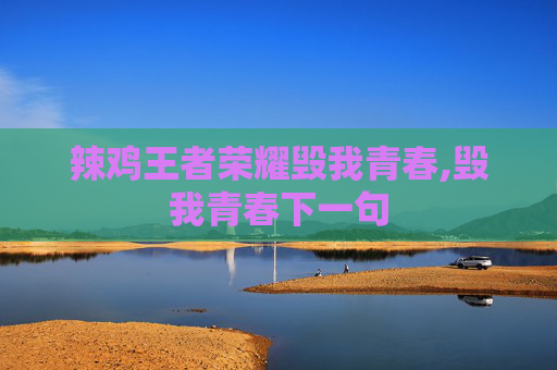 辣鸡王者荣耀毁我青春,毁我青春下一句