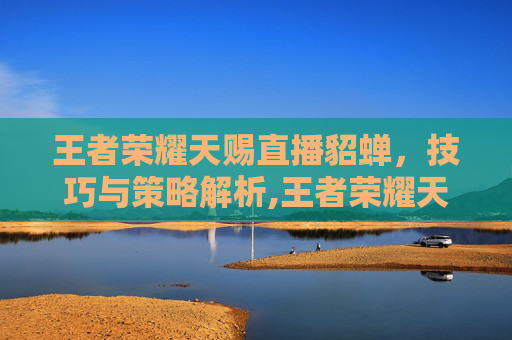 王者荣耀天赐直播貂蝉，技巧与策略解析,王者荣耀天赐直播貂蝉多少钱