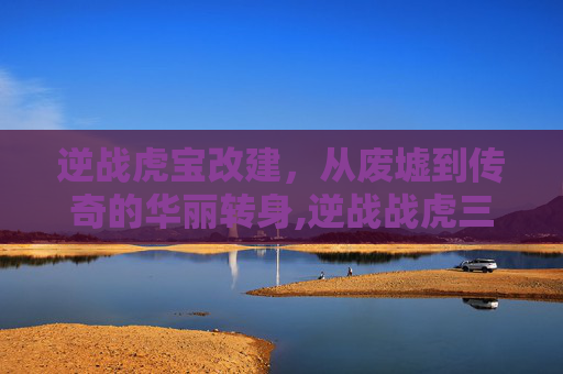 逆战虎宝改建，从废墟到传奇的华丽转身,逆战战虎三件套的作用