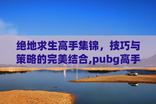 绝地求生高手集锦，技巧与策略的完美结合,pubg高手攻略