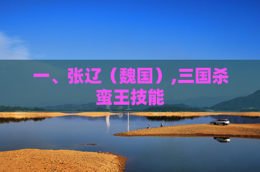 一、张辽（魏国）,三国杀蛮王技能