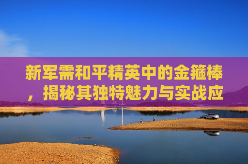 新军需和平精英中的金箍棒，揭秘其独特魅力与实战应用,和平精英即将上线的新军需套装