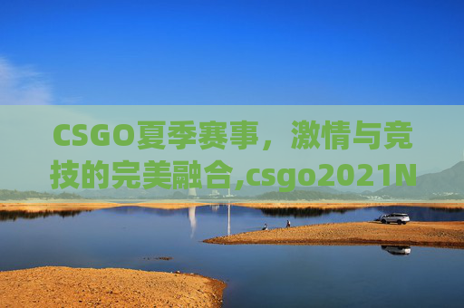 CSGO夏季赛事，激情与竞技的完美融合,csgo2021NaVi