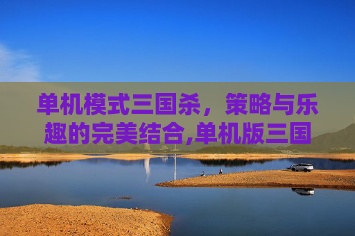 单机模式三国杀，策略与乐趣的完美结合,单机版三国杀