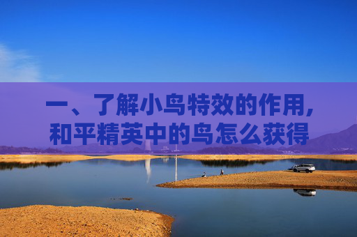 一、了解小鸟特效的作用,和平精英中的鸟怎么获得
