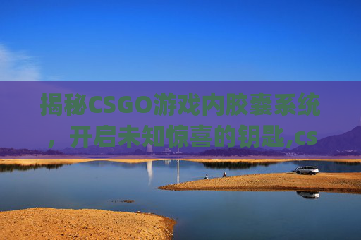 揭秘CSGO游戏内胶囊系统，开启未知惊喜的钥匙,csgo胶囊出货概率图
