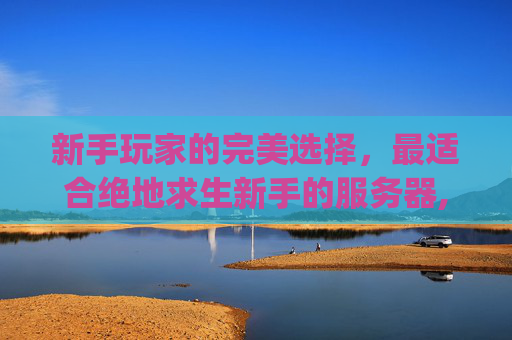 新手玩家的完美选择，最适合绝地求生新手的服务器,pubg一般玩什么服