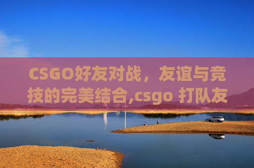 CSGO好友对战，友谊与竞技的完美结合,csgo 打队友
