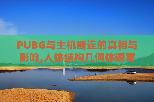 PUBG与主机断连的真相与影响,人体结构几何体速写
