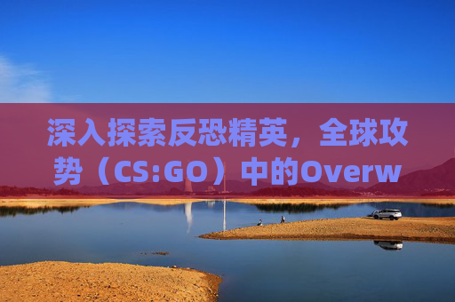 深入探索反恐精英，全球攻势（CS:GO）中的Overwatch模式,csgo里面拆弹什么键