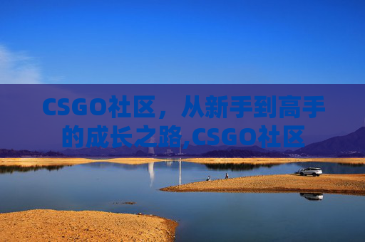 CSGO社区，从新手到高手的成长之路,CSGO社区