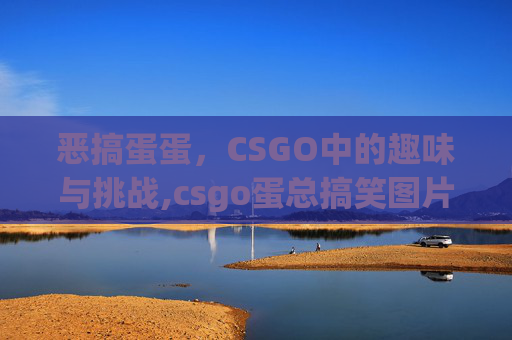 恶搞蛋蛋，CSGO中的趣味与挑战,csgo蛋总搞笑图片