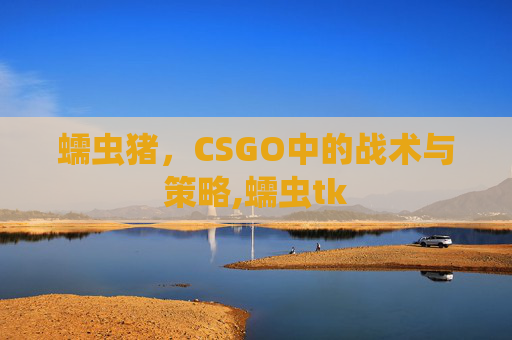 蠕虫猪，CSGO中的战术与策略,蠕虫tk