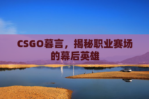 CSGO暮言，揭秘职业赛场的幕后英雄