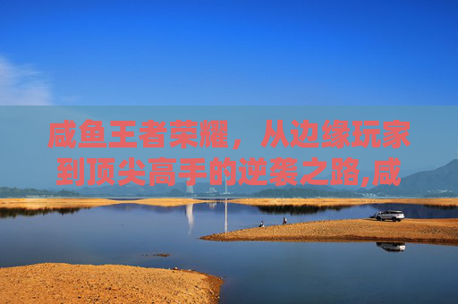 咸鱼王者荣耀，从边缘玩家到顶尖高手的逆袭之路,咸鱼王者荣耀怎么下单的