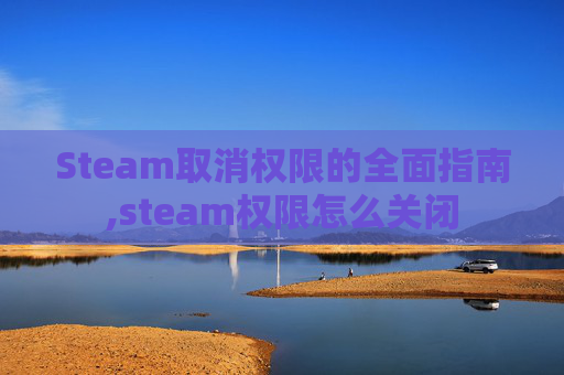 Steam取消权限的全面指南,steam权限怎么关闭