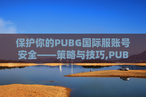 保护你的PUBG国际服账号安全——策略与技巧,PUBG国际服账号