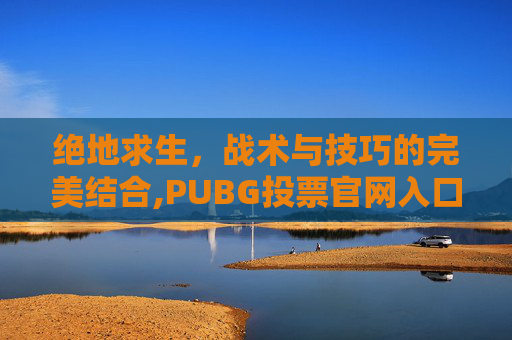 绝地求生，战术与技巧的完美结合,PUBG投票官网入口链接
