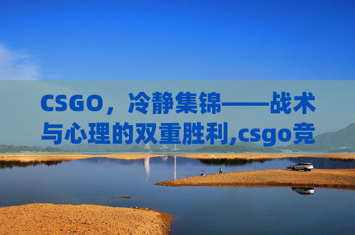 CSGO，冷静集锦——战术与心理的双重胜利,csgo竞技冷却下线算不算