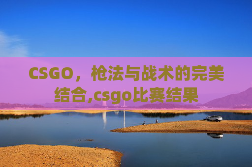 CSGO，枪法与战术的完美结合,csgo比赛结果