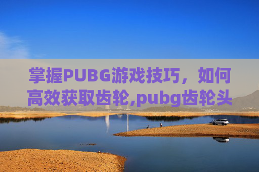 掌握PUBG游戏技巧，如何高效获取齿轮,pubg齿轮头返场