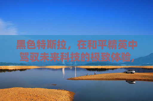 黑色特斯拉，在和平精英中驾驭未来科技的极致体验,和平精英黑色的特斯拉叫什么