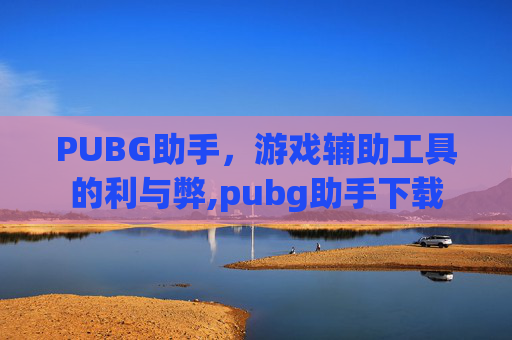 PUBG助手，游戏辅助工具的利与弊,pubg助手下载