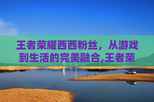 王者荣耀西西粉丝，从游戏到生活的完美融合,王者荣耀西西照片