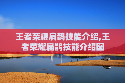 王者荣耀扁鹊技能介绍,王者荣耀扁鹊技能介绍图