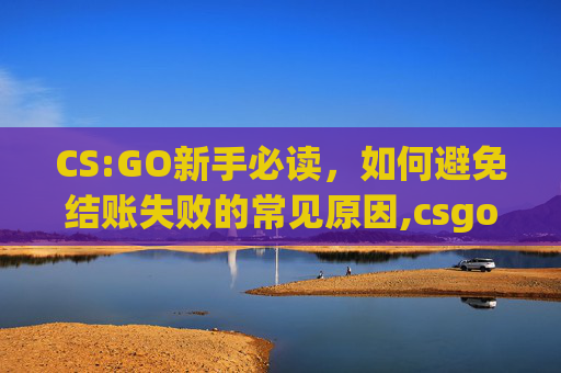 CS:GO新手必读，如何避免结账失败的常见原因,csgo结算界面