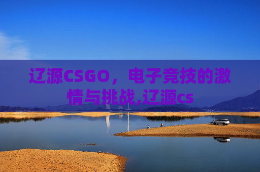 辽源CSGO，电子竞技的激情与挑战,辽源cs