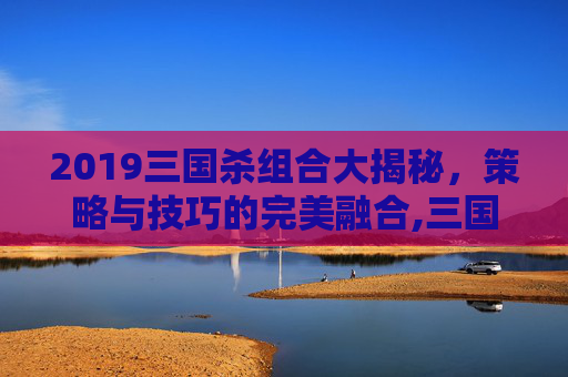 2019三国杀组合大揭秘，策略与技巧的完美融合,三国杀组合排名