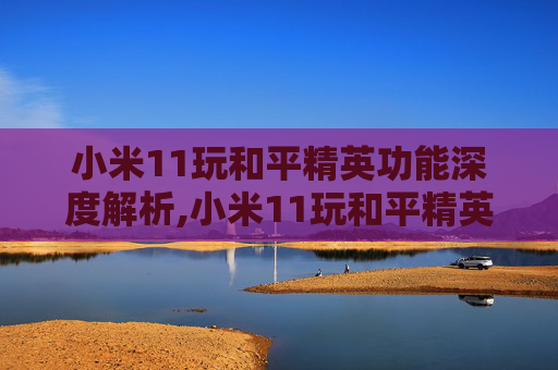 小米11玩和平精英功能深度解析,小米11玩和平精英可以开多少帧