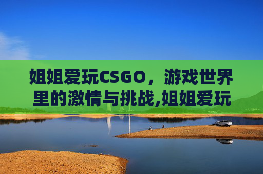姐姐爱玩CSGO，游戏世界里的激情与挑战,姐姐爱玩的游戏