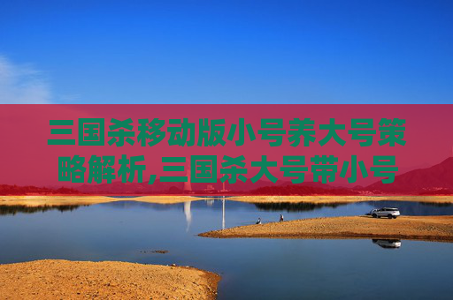 三国杀移动版小号养大号策略解析,三国杀大号带小号