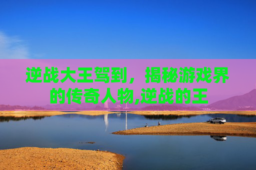 逆战大王驾到，揭秘游戏界的传奇人物,逆战的王
