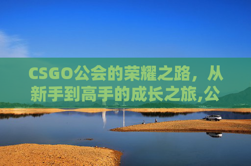 CSGO公会的荣耀之路，从新手到高手的成长之旅,公会名字好听又吸引人