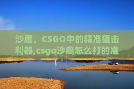 沙鹰，CSGO中的精准狙击利器,csgo沙鹰怎么打的准