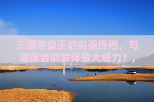 三国杀曹丕的完美搭档，与谁配合能发挥最大威力？,三国杀曹丕配合武将
