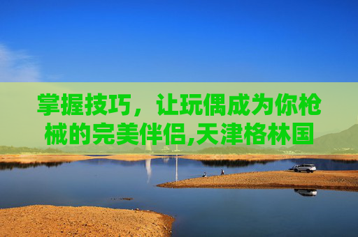 掌握技巧，让玩偶成为你枪械的完美伴侣,天津格林国际幼儿园学费