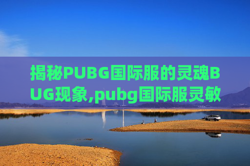 揭秘PUBG国际服的灵魂BUG现象,pubg国际服灵敏度怎么调