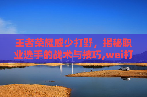 王者荣耀威少打野，揭秘职业选手的战术与技巧,wei打野