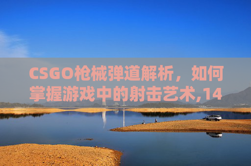 CSGO枪械弹道解析，如何掌握游戏中的射击艺术,14油耗投多少钱一公里