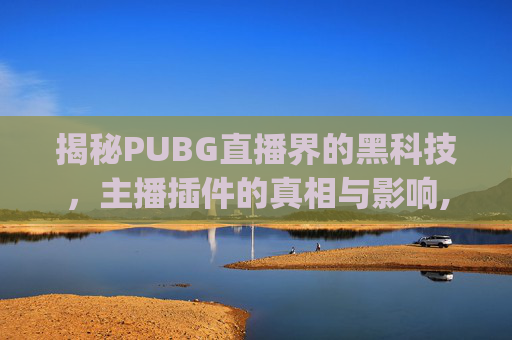 揭秘PUBG直播界的黑科技，主播插件的真相与影响,Pubg主播