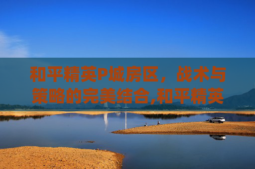 和平精英P城房区，战术与策略的完美结合,和平精英p城房区分别叫什么
