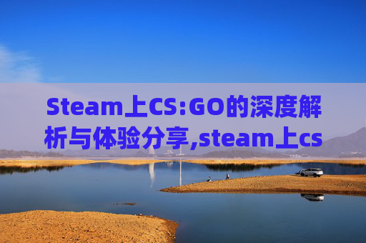 Steam上CS:GO的深度解析与体验分享,steam上csgo多少钱