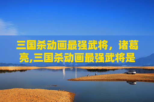 三国杀动画最强武将，诸葛亮,三国杀动画最强武将是谁