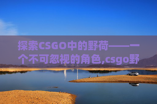 探索CSGO中的野荷——一个不可忽视的角色,csgo野荷出自哪里